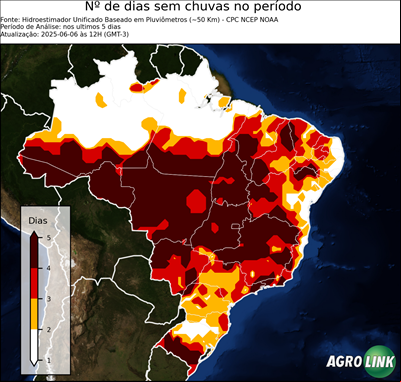 5 dias
