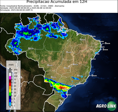 12 horas